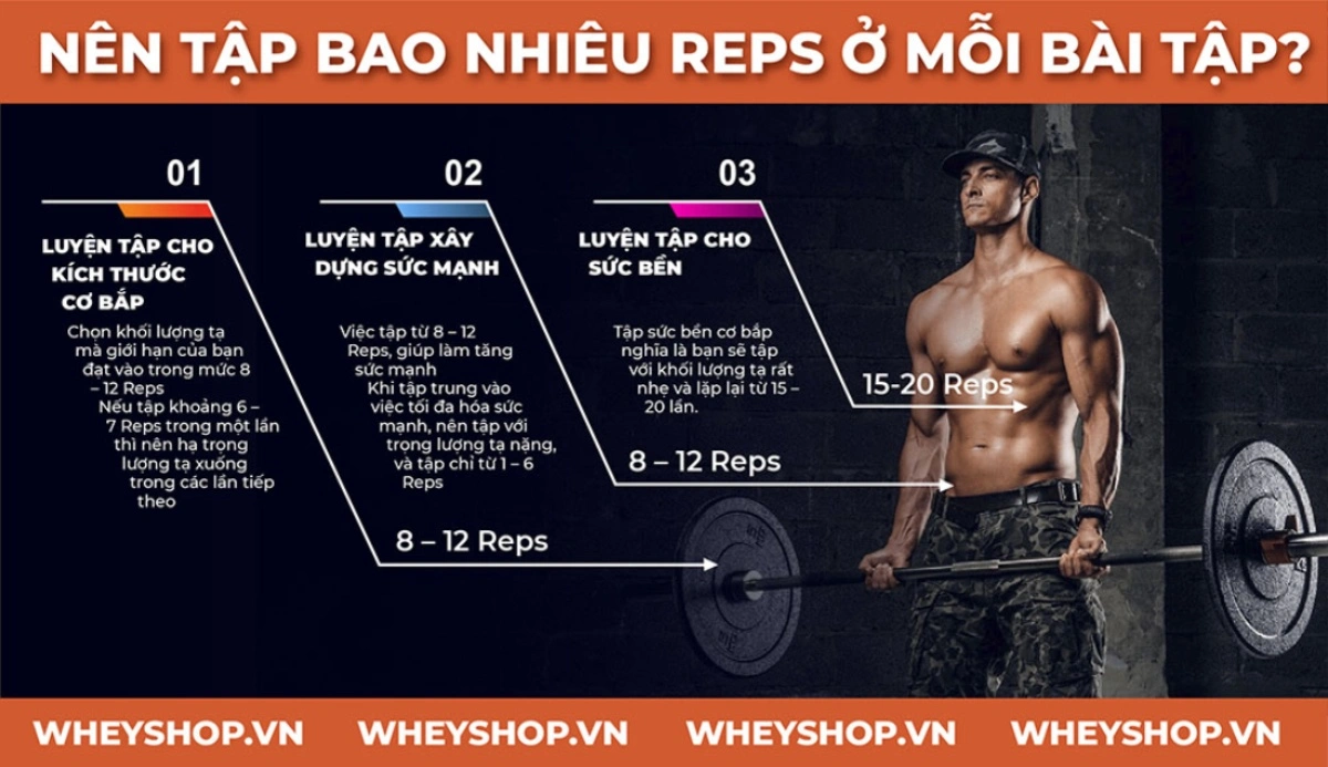 reps-la-gi-nen-tap-bao-nhieu-rep-o-moi-bai-tap