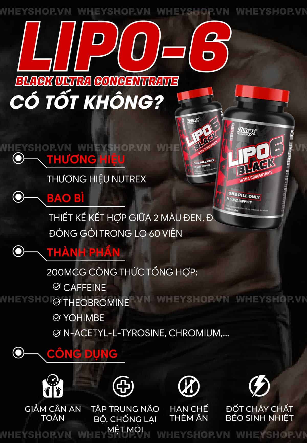 Hành trình giảm cân luôn khó khăn, nhiều người đã tìm đến Lipo 6 Black như biện pháp hữu hiệu. Cùng WheyShop review đánh giá Lipo 6 Black Ultra Concentrate...