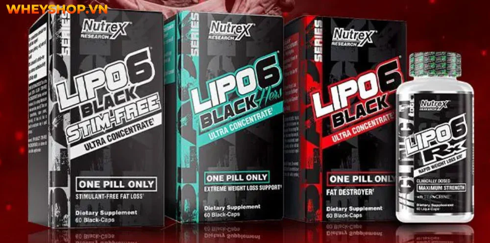 Review đánh giá Lipo 6 giảm cân có tốt không ? Có bao nhiêu loại lipo 6 giảm cân, lưu ý và cách sử dụng Lipo 6 hiệu quả