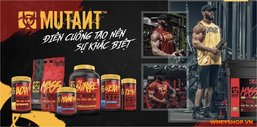 Mutant Creakong CX8 đáp ứng tiêu chí hiệu quả tăng cơ tốt - bùng nổ năng lượng - tăng sức bền. Hãy cùng WheyShop đánh giá Mutant Creakong CX8 có tốt không...