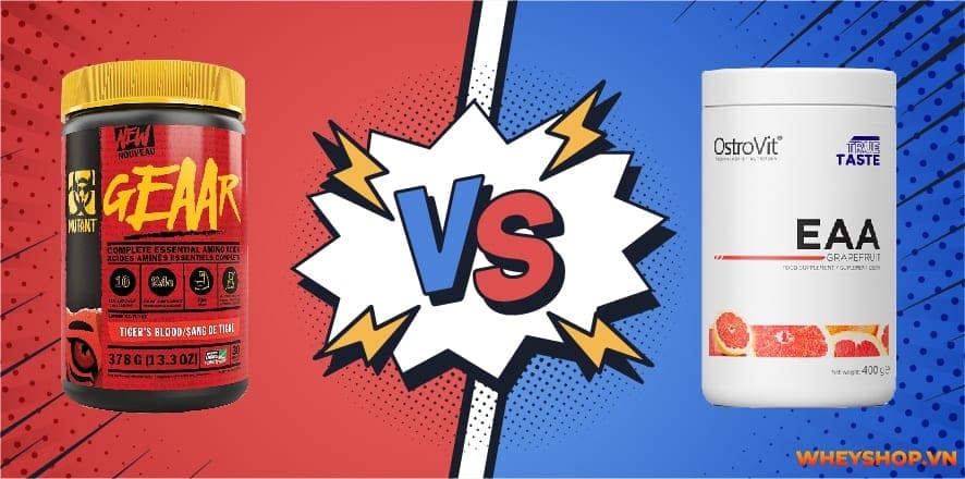 Mutant EAA GEAAR là sản phẩm được coi là "huyền thoại" tái tạo cơ bắp. Thực hư ra sao? WheyShop viết bài này để đánh giá Mutant EAA GEAAR có tốt không...