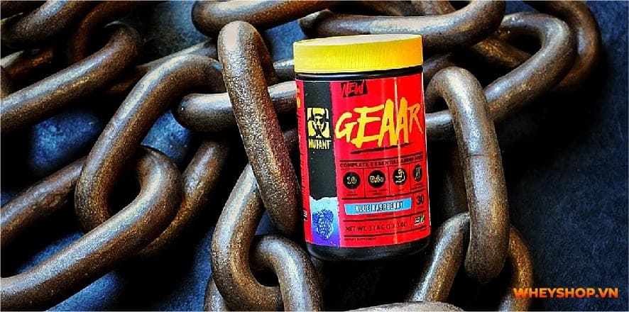 Mutant EAA GEAAR là sản phẩm được coi là "huyền thoại" tái tạo cơ bắp. Thực hư ra sao? WheyShop viết bài này để đánh giá Mutant EAA GEAAR có tốt không...