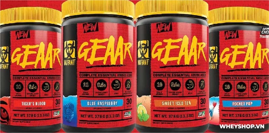 Mutant EAA GEAAR là sản phẩm được coi là "huyền thoại" tái tạo cơ bắp. Thực hư ra sao? WheyShop viết bài này để đánh giá Mutant EAA GEAAR có tốt không...