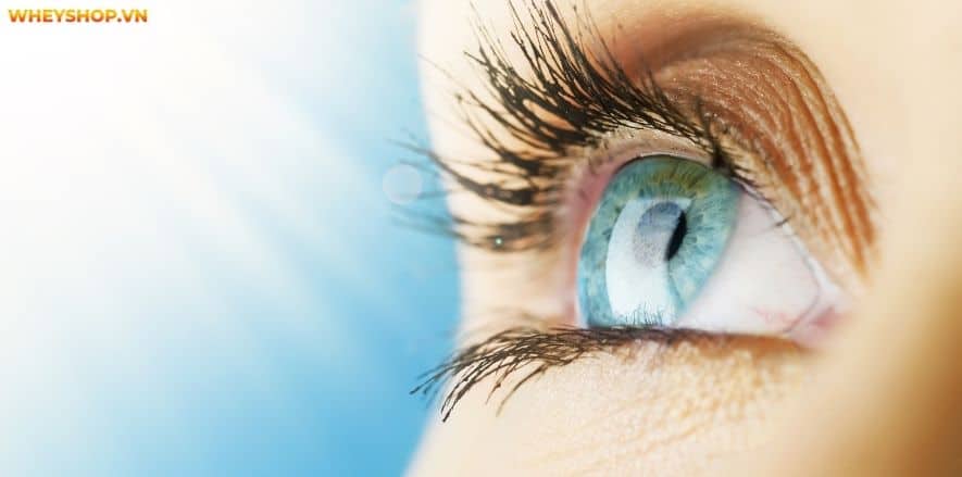 Now Omega-3 là viên uống dầu cá cải thiện sức khỏe tổng thể bán chạy nhất hiện nay. Bài viết dưới đây review đánh giá Now Omega-3 có tốt không, cùng WheyShop...