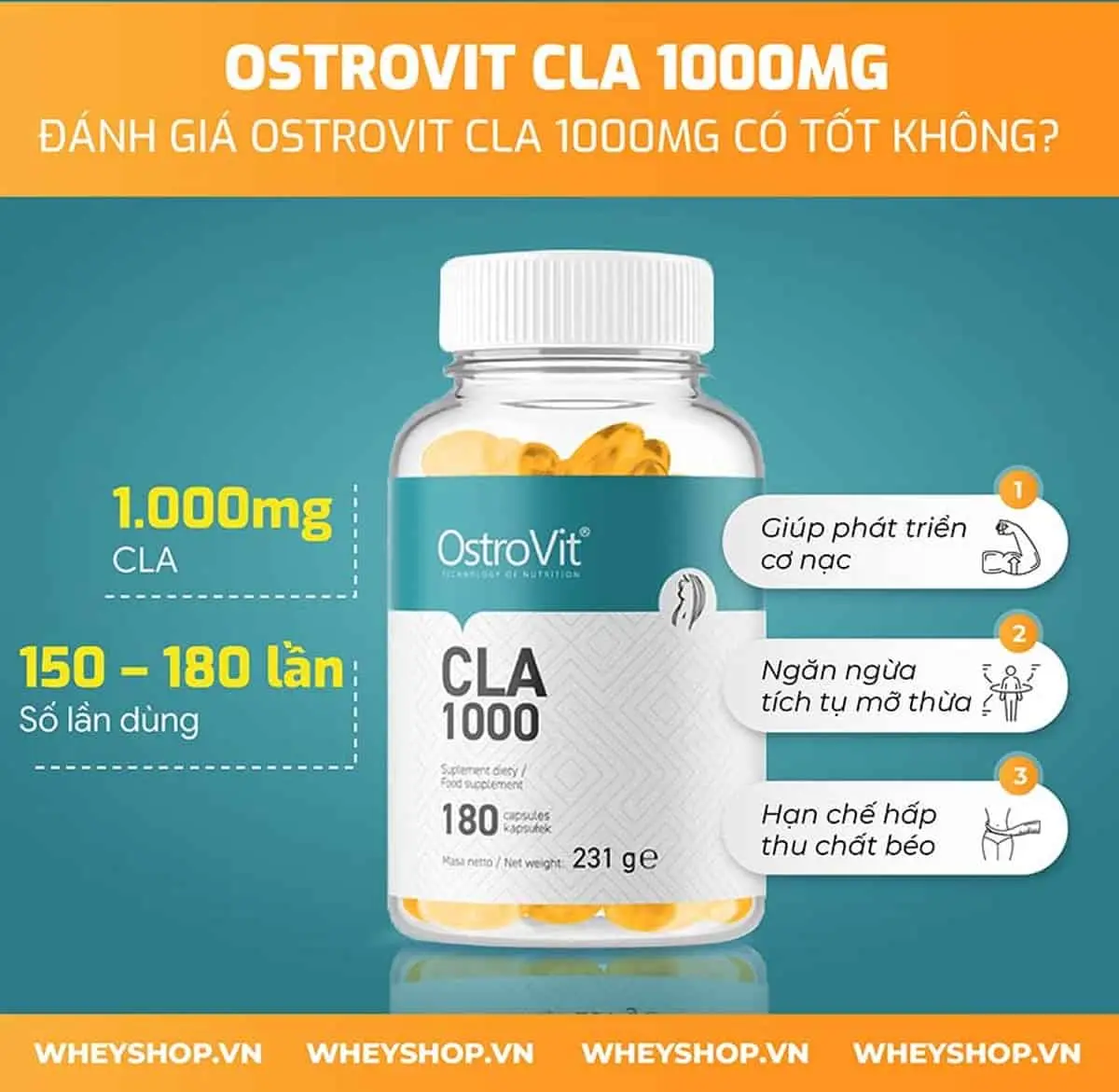review-danh-gia-ostrovit-cla-1000mg-co-tot-khong-4