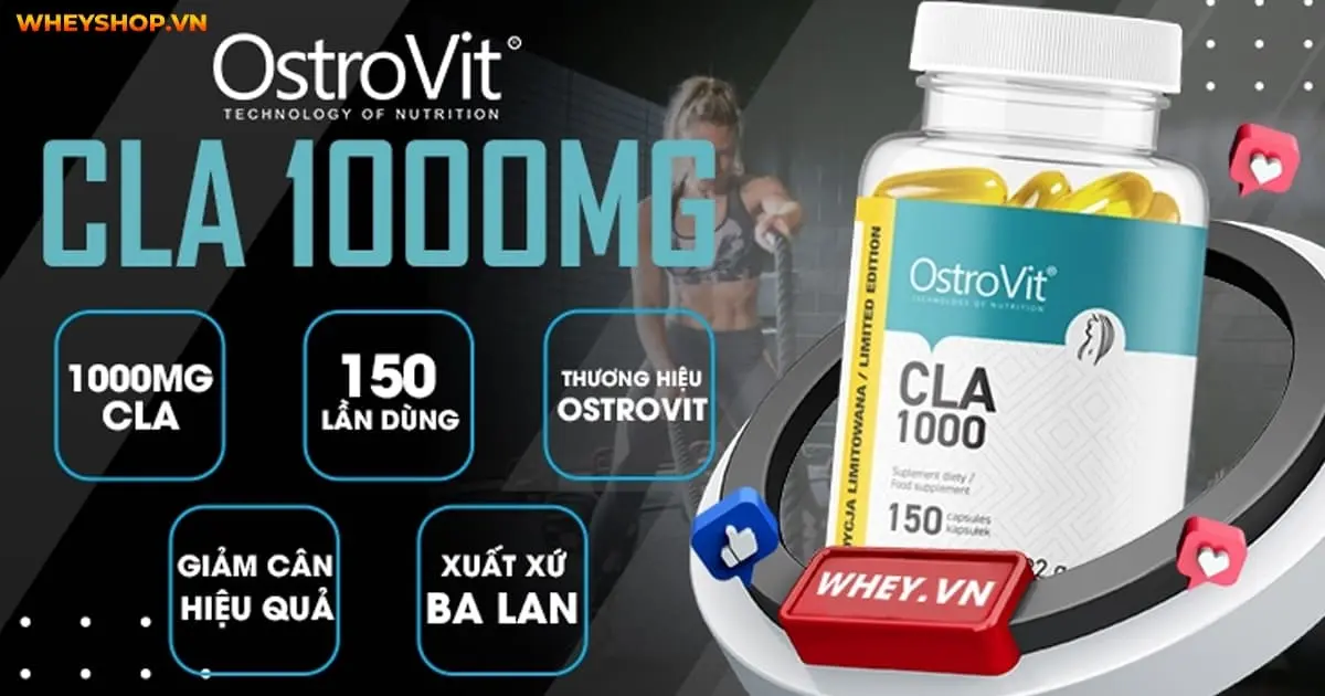 review-danh-gia-ostrovit-cla-1000mg-co-tot-khong-4