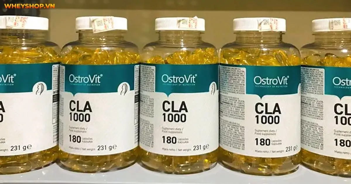 review-danh-gia-ostrovit-cla-1000mg-co-tot-khong-4