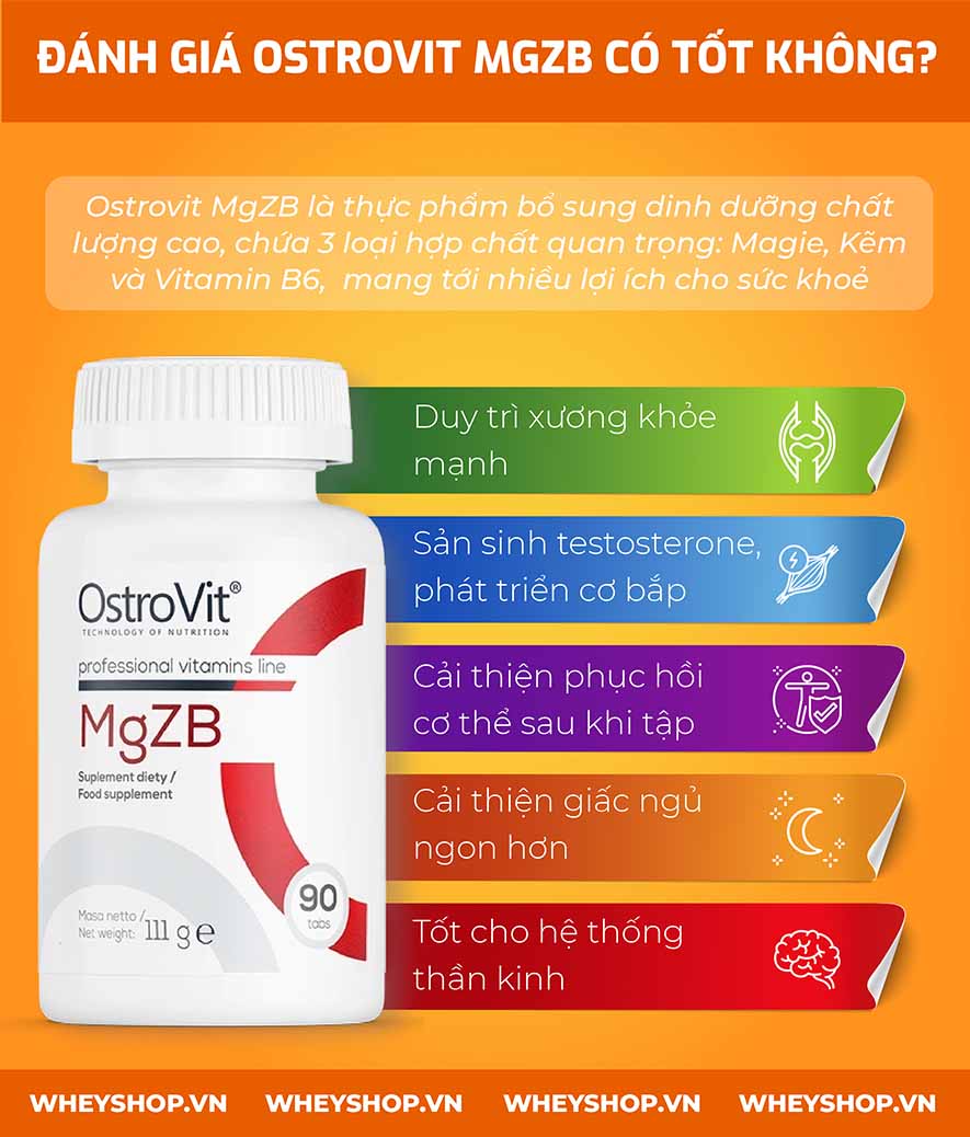 Nếu bạn đang tìm hiểu về sản phẩm Ostrovit MgZb thì hãy cung WheyShop review đánh giá Ostrovit MgZB có tốt không qua bài viết ngay nhé...