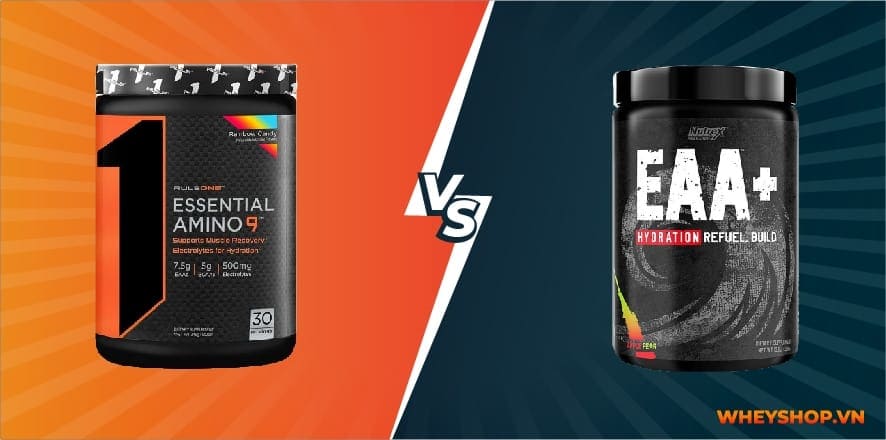 Rule 1 EAA Essential Amino 9 là thực phẩm bổ sung có chứa 9 axit amin thiết yếu hỗ trợ phục hồi cơ bắp. Cùng WheyShop đánh giá Rule 1 EAA Essential Amino 9 có...