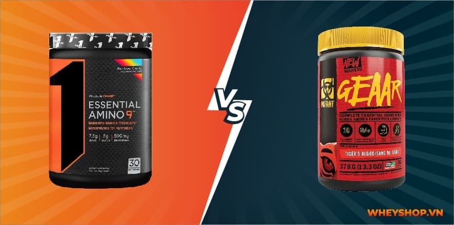 Rule 1 EAA Essential Amino 9 là thực phẩm bổ sung có chứa 9 axit amin thiết yếu hỗ trợ phục hồi cơ bắp. Cùng WheyShop đánh giá Rule 1 EAA Essential Amino 9 có...