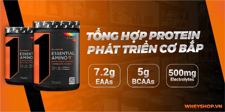 Rule 1 EAA Essential Amino 9 là thực phẩm bổ sung có chứa 9 axit amin thiết yếu hỗ trợ phục hồi cơ bắp. Cùng WheyShop đánh giá Rule 1 EAA Essential Amino 9 có...