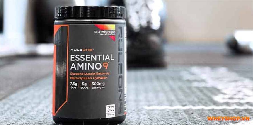 Rule 1 EAA Essential Amino 9 là thực phẩm bổ sung có chứa 9 axit amin thiết yếu hỗ trợ phục hồi cơ bắp. Cùng WheyShop đánh giá Rule 1 EAA Essential Amino 9 có...