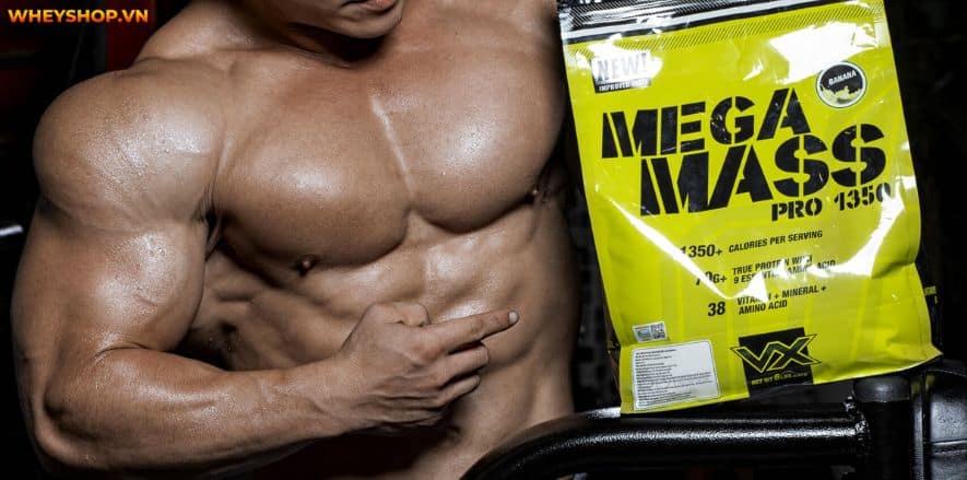 Bánh Applied Critical Cookies là thanh protein cao sẽ đáp ứng sự thèm ăn của bạn. Cùng WheyShop Review đánh giá Bánh Applied Critical Cookies có tốt không...