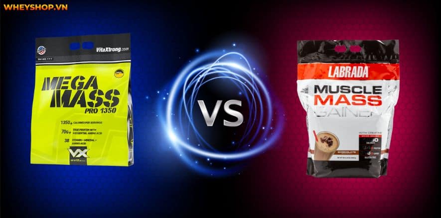 Bánh Applied Critical Cookies là thanh protein cao sẽ đáp ứng sự thèm ăn của bạn. Cùng WheyShop Review đánh giá Bánh Applied Critical Cookies có tốt không...