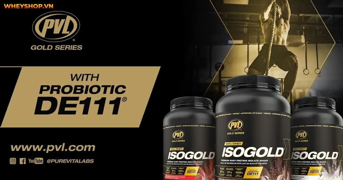 review-danh-gia-whey-iso-gold-co-tot-khong-4