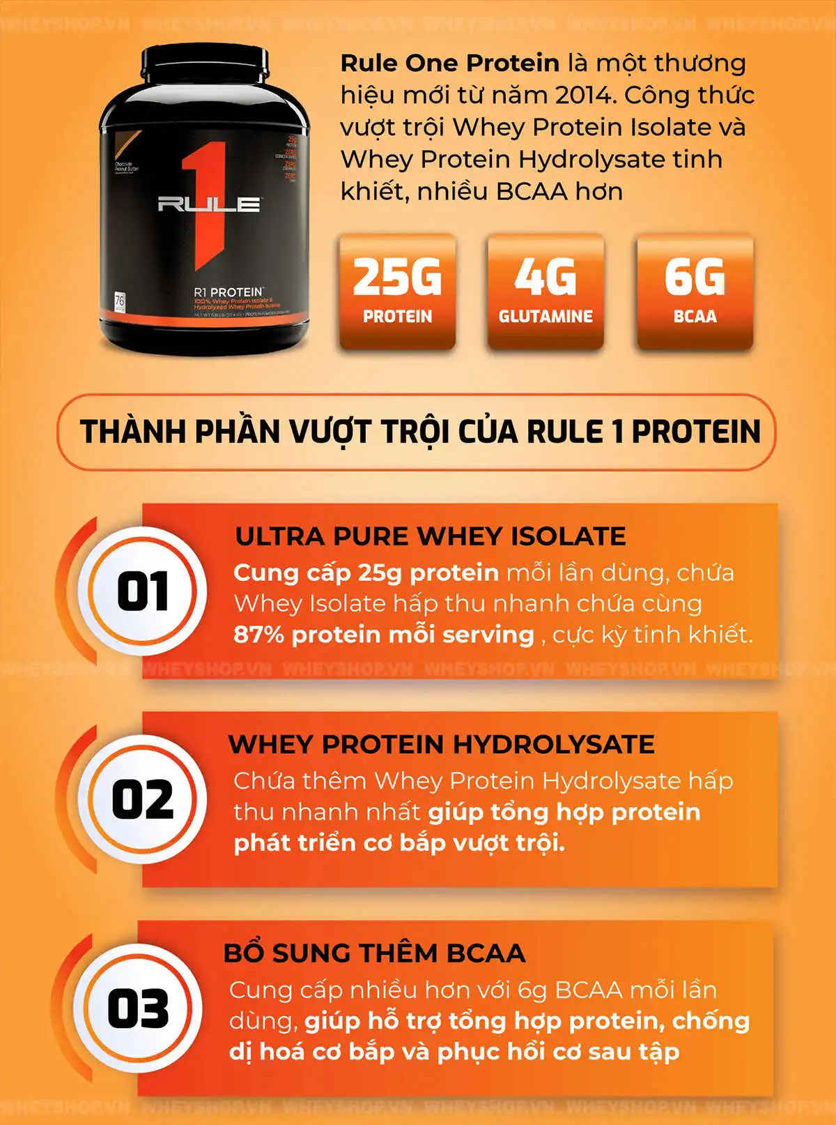 review-danh-gia-whey-rule-1-protein