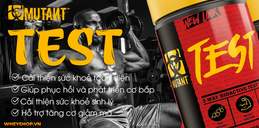 Nếu bạn đang băn khoăn đánh giá Mutant Test có tốt không thì hãy cùng WheyShop review đánh giá Mutant Test qua bài viết chi tiết sau đây...