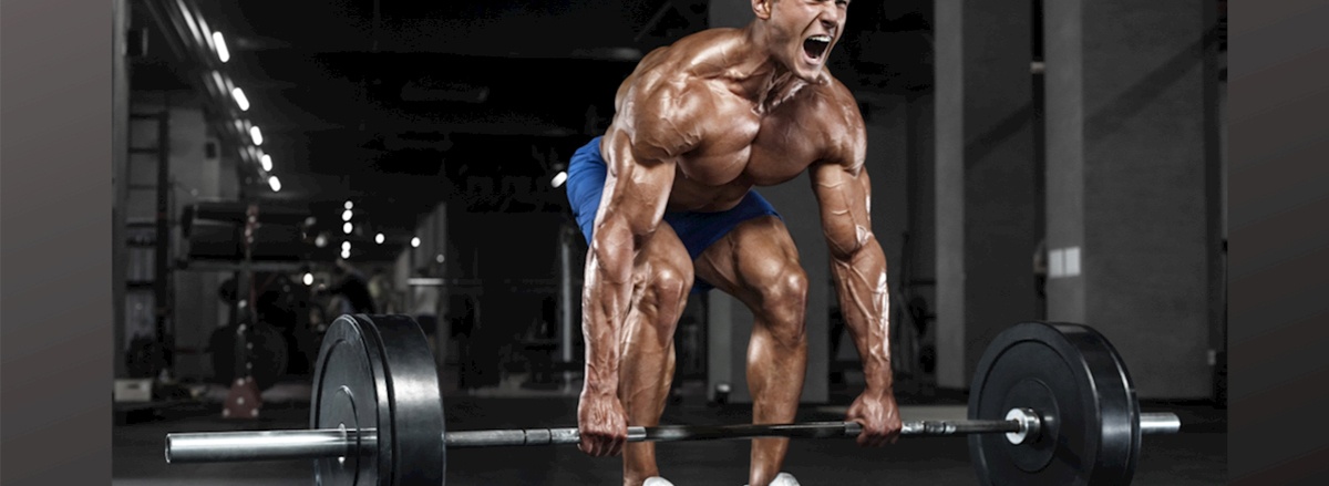 Romanian Deadlift là một trong những bài tập hàng đầu đối với người tập gym, mang tới lợi ích phát triển đùi sau, cơ mông và đốt cháy calo giảm mỡ hiệu quả ...