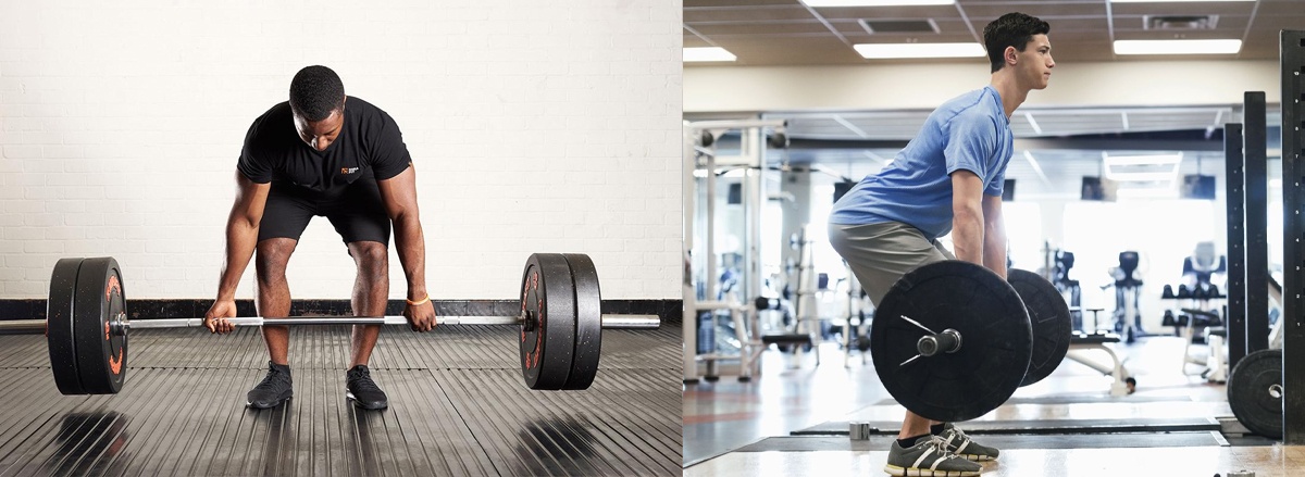 Romanian Deadlift là một trong những bài tập hàng đầu đối với người tập gym, mang tới lợi ích phát triển đùi sau, cơ mông và đốt cháy calo giảm mỡ hiệu quả ...