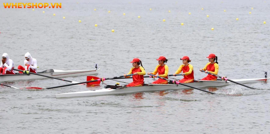 Các môn thể thao dưới nước như chèo thuyền rowing cũng mang lại những lợi ích cho sức khỏe. Hãy cùng WheyShop tìm hiểu Rowing là gì, kỹ thuật và luật thi đấu...