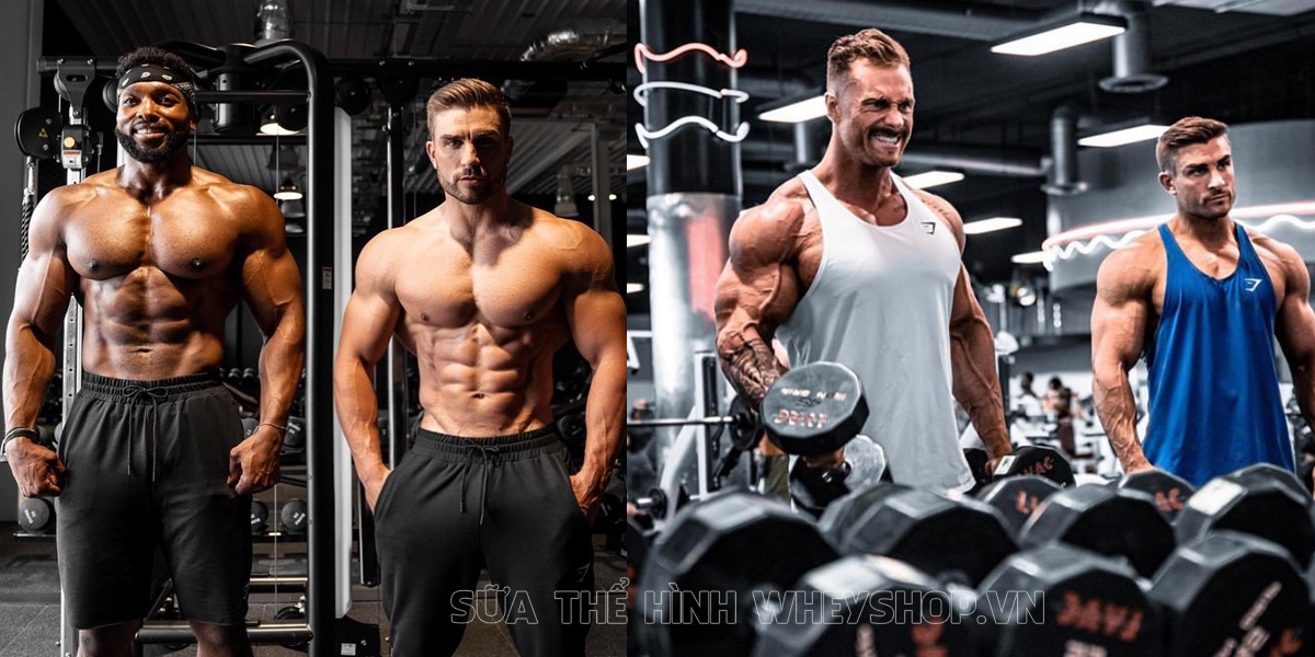 Nam Vương thể hình Ryan Terry với cơ bụng 6 múi tuyệt hảo. Cùng WheyShop tìm hiểu chi tiết hơn về bí quyết 6 múi của Ryan Terry qua bài viết nhé ...
