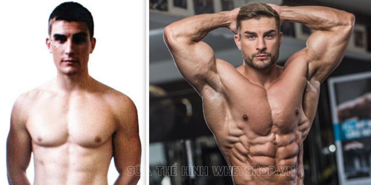 Nam Vương thể hình Ryan Terry với cơ bụng 6 múi tuyệt hảo. Cùng WheyShop tìm hiểu chi tiết hơn về bí quyết 6 múi của Ryan Terry qua bài viết nhé ...