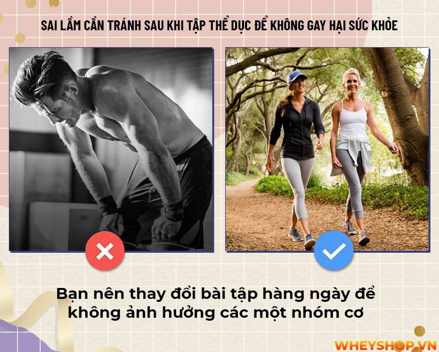 Liệu bạn đã bao giờ tự hỏi mình rằng sau khi tập gym không nên làm gì? Cùng WheyShop tìm hiểu 17 điều cấm kị không nên làm sau khi tập gym...Liệu bạn đã bao giờ tự hỏi mình rằng sau khi tập gym không nên làm gì? Cùng WheyShop tìm hiểu 17 điều cấm kị không nên làm sau khi tập gym...