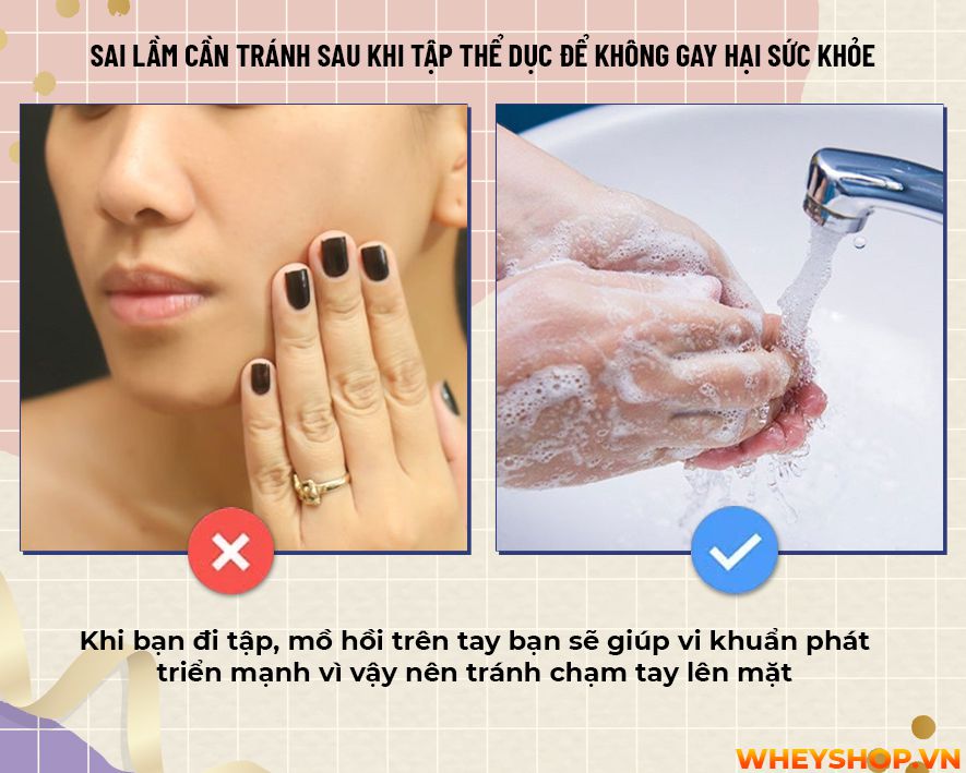 Liệu bạn đã bao giờ tự hỏi mình rằng sau khi tập gym không nên làm gì? Cùng WheyShop tìm hiểu 17 điều cấm kị không nên làm sau khi tập gym...