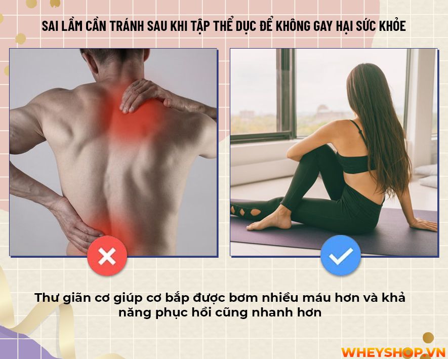 Liệu bạn đã bao giờ tự hỏi mình rằng sau khi tập gym không nên làm gì? Cùng WheyShop tìm hiểu 17 điều cấm kị không nên làm sau khi tập gym...