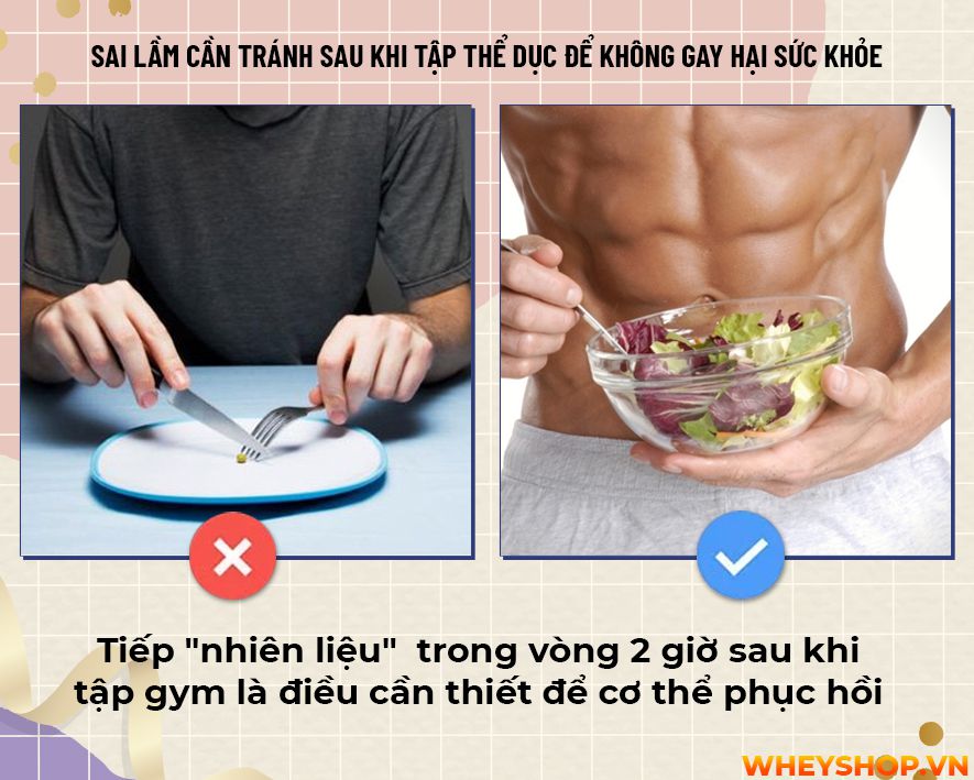 Liệu bạn đã bao giờ tự hỏi mình rằng sau khi tập gym không nên làm gì? Cùng WheyShop tìm hiểu 17 điều cấm kị không nên làm sau khi tập gym...