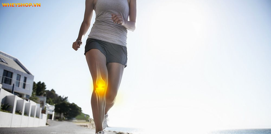 Nhiều chị em lựa chọn giải pháp chạy bộ để lấy lại vóc dáng, loại bỏ mỡ thừa ở bụng nhưng sau sinh bao lâu thì chạy bộ được? Hãy cùng WheyShop tìm hiểu nhé!