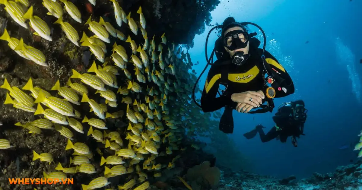 scuba-diving-la-gi-01-min