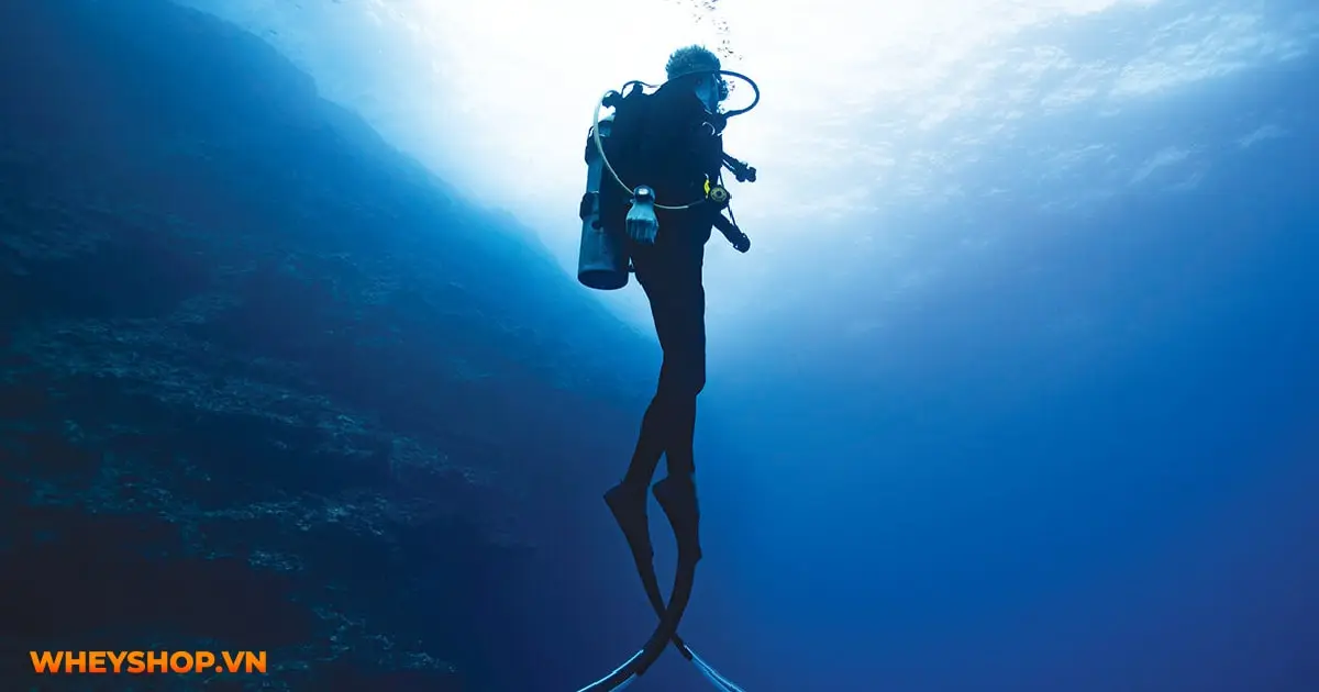 scuba-diving-la-gi-01-min