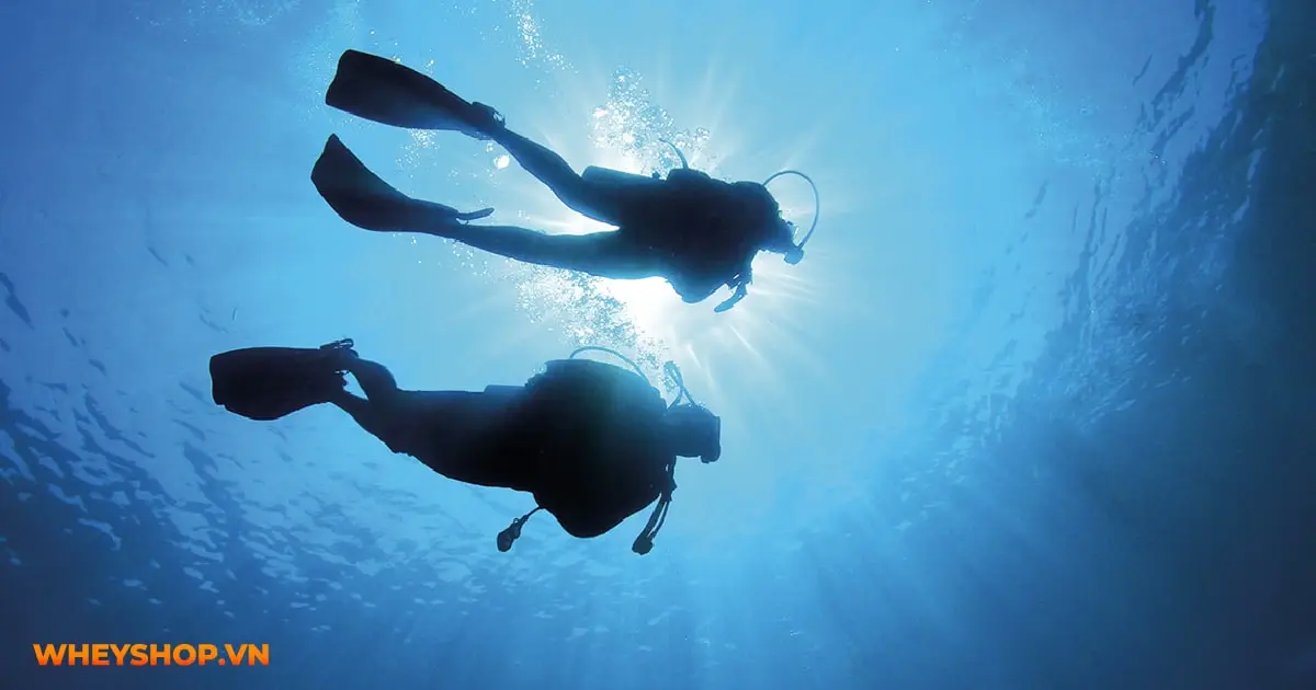 scuba-diving-la-gi-01-min
