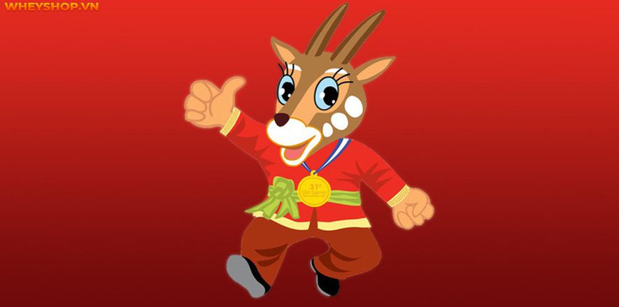 Sea Games là sự kiện thể thao diễn ra hai năm một lần giữa chu kỳ Thế vận hội Châu Á, và Thế vận hội Olympic. Vậy SEA Games 31 được tổ chức ở đâu ? Câu trả...