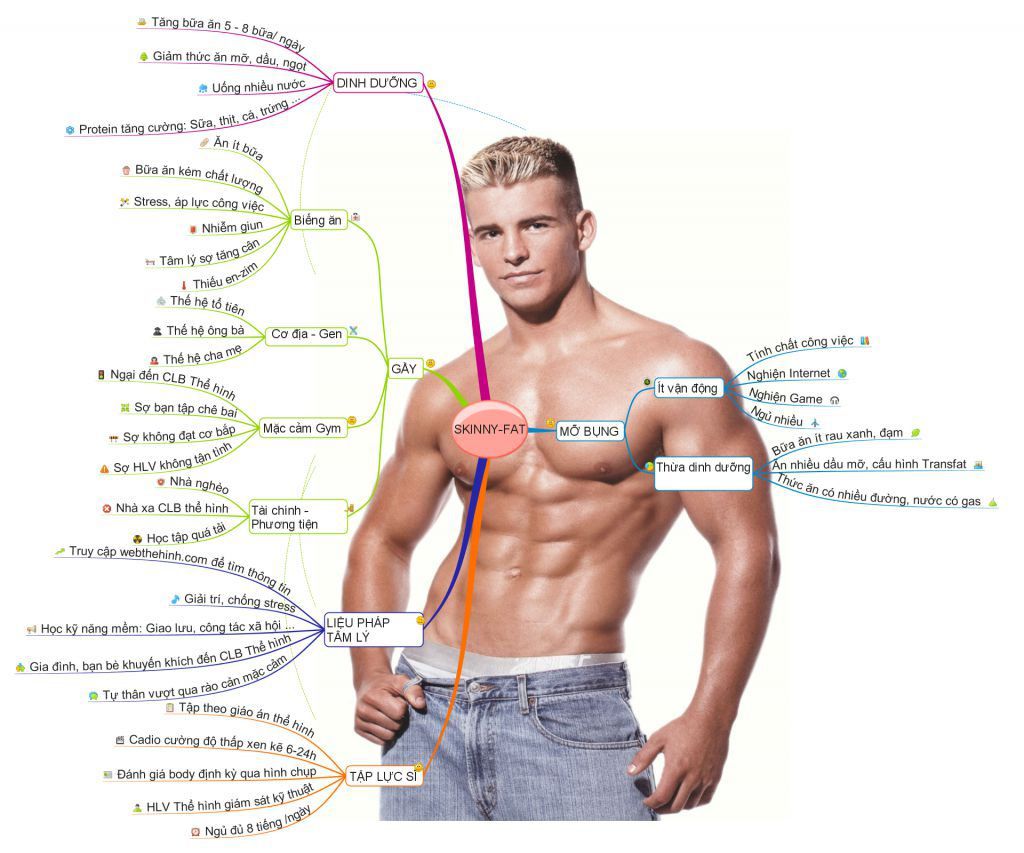 skinny fat la gi wheyshop vn