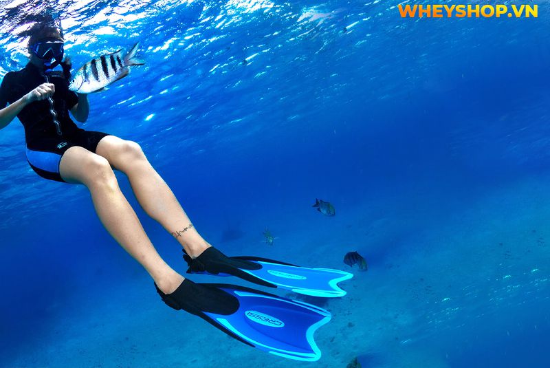 Snorkel là gì ? Bằng cách này, bạn có thể nhìn thấy san hô và sinh vật biển mà không sợ cá di chuyển và không phải nhịn thở một cách khó khăn, điều bạn cần...