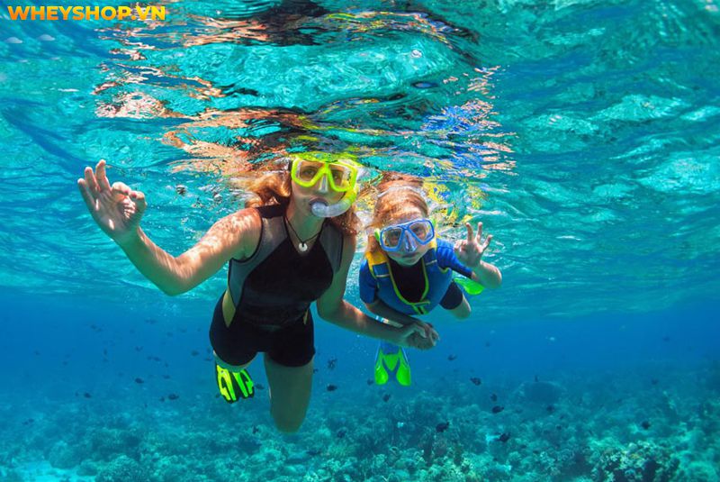Snorkel là gì ? Bằng cách này, bạn có thể nhìn thấy san hô và sinh vật biển mà không sợ cá di chuyển và không phải nhịn thở một cách khó khăn, điều bạn cần...