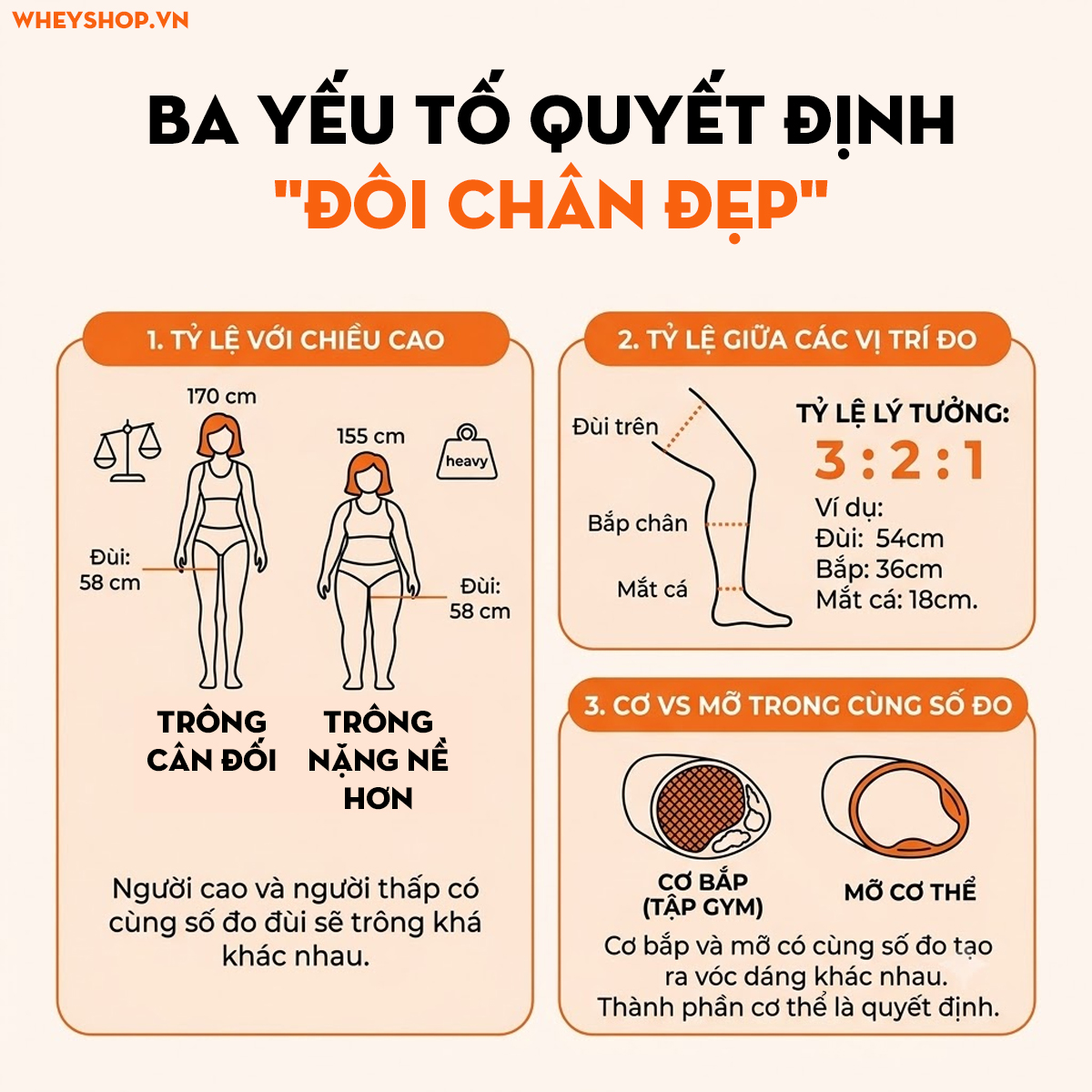 Số đo chuẩn của đôi chân là bao nhiêu? Bảng tra theo chiều cao
