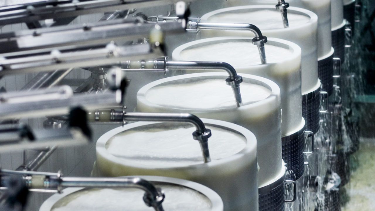 so sánh casein và whey