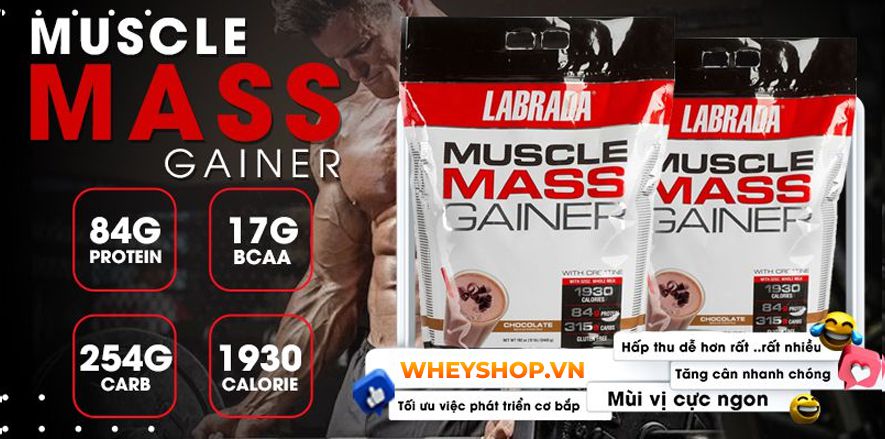 Nếu bạn đang băn khoăn so sánh Muscle Mass Gainer và Super Mass Gainer loại nào tốt thì hãy cùng WheyShop tham khảo chi tiết bài viết...
