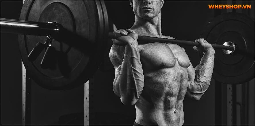 Giữa Whey Blend và Whey Isolate, loại nào tốt hơn? Cùng xem bài viết này WheyShop đánh giá so sánh khách quan 2 loại và chọn ra sản phẩm phù hợp với bản thân...