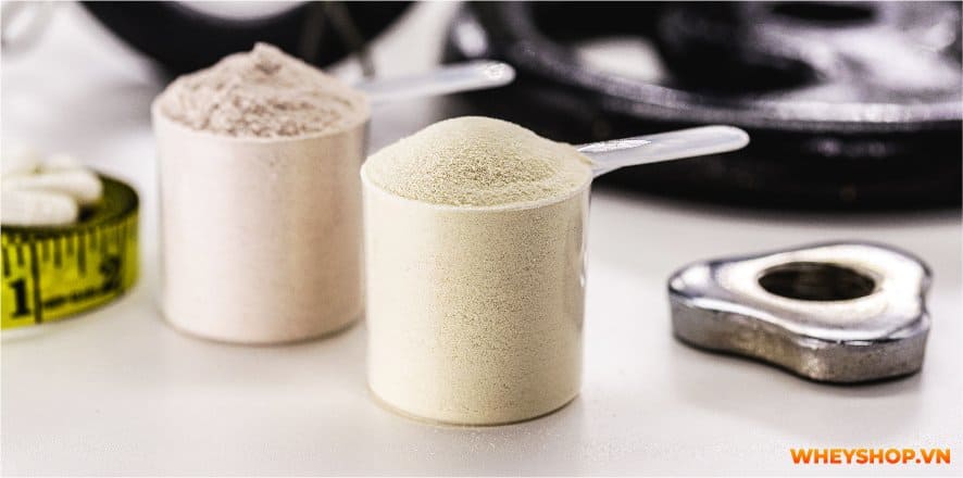 Giữa Whey Blend và Whey Isolate, loại nào tốt hơn? Cùng xem bài viết này WheyShop đánh giá so sánh khách quan 2 loại và chọn ra sản phẩm phù hợp với bản thân...