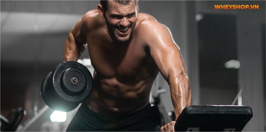 Giữa Whey Blend và Whey Isolate, loại nào tốt hơn? Cùng xem bài viết này WheyShop đánh giá so sánh khách quan 2 loại và chọn ra sản phẩm phù hợp với bản thân...