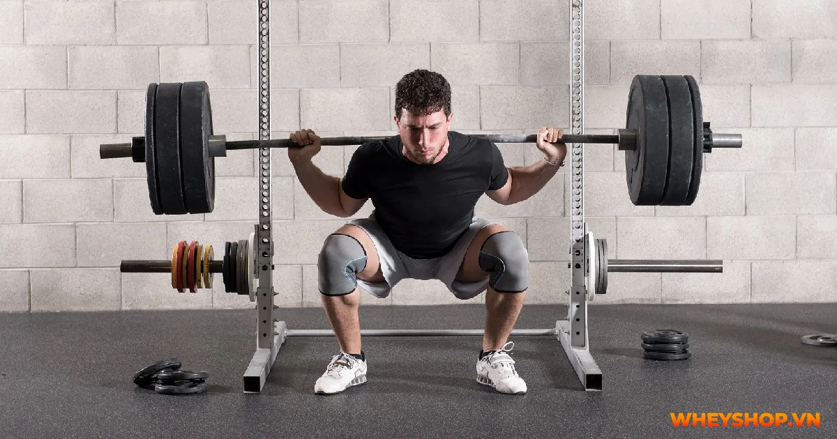 squat-la-gi-cach-tap-squat-nhu-the-nao-01