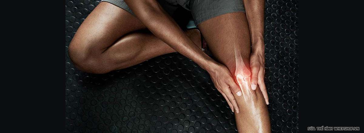 squat la gi loi ich cua bai tap squat dau dau goi