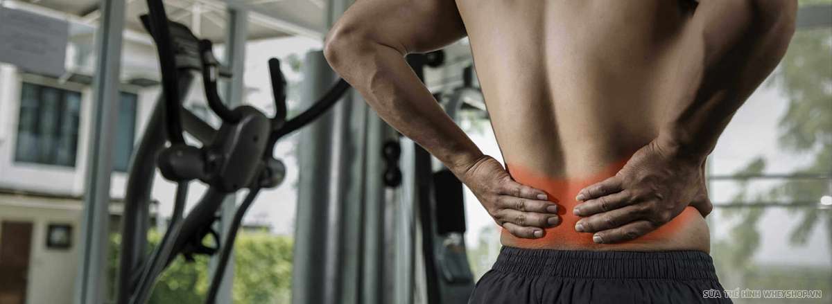 squat la gi loi ich cua bai tap squat dau lung