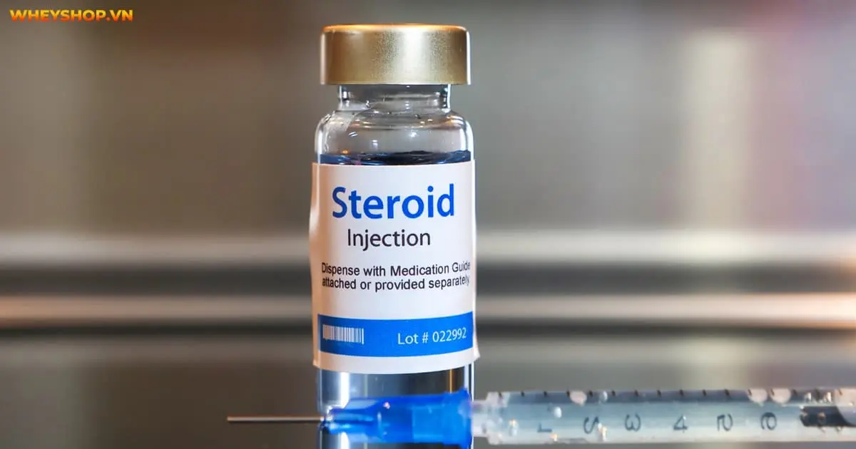 steroid-la-gi-steroid-dong-hoa-nhung-dieu-ban-nen-biet-4