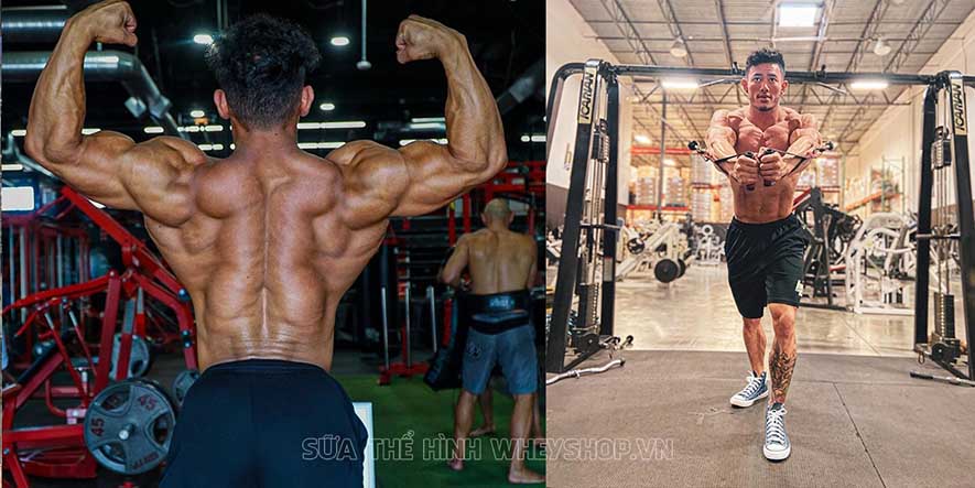 Steven Cao là vận động viên Men's Physique gốc Việt nổi tiếng hàng đầu thế giới với thân hình 6 múi lực lưỡng. Cùng tìm hiểu chi tiết hơn về anh ấy qua bài viết