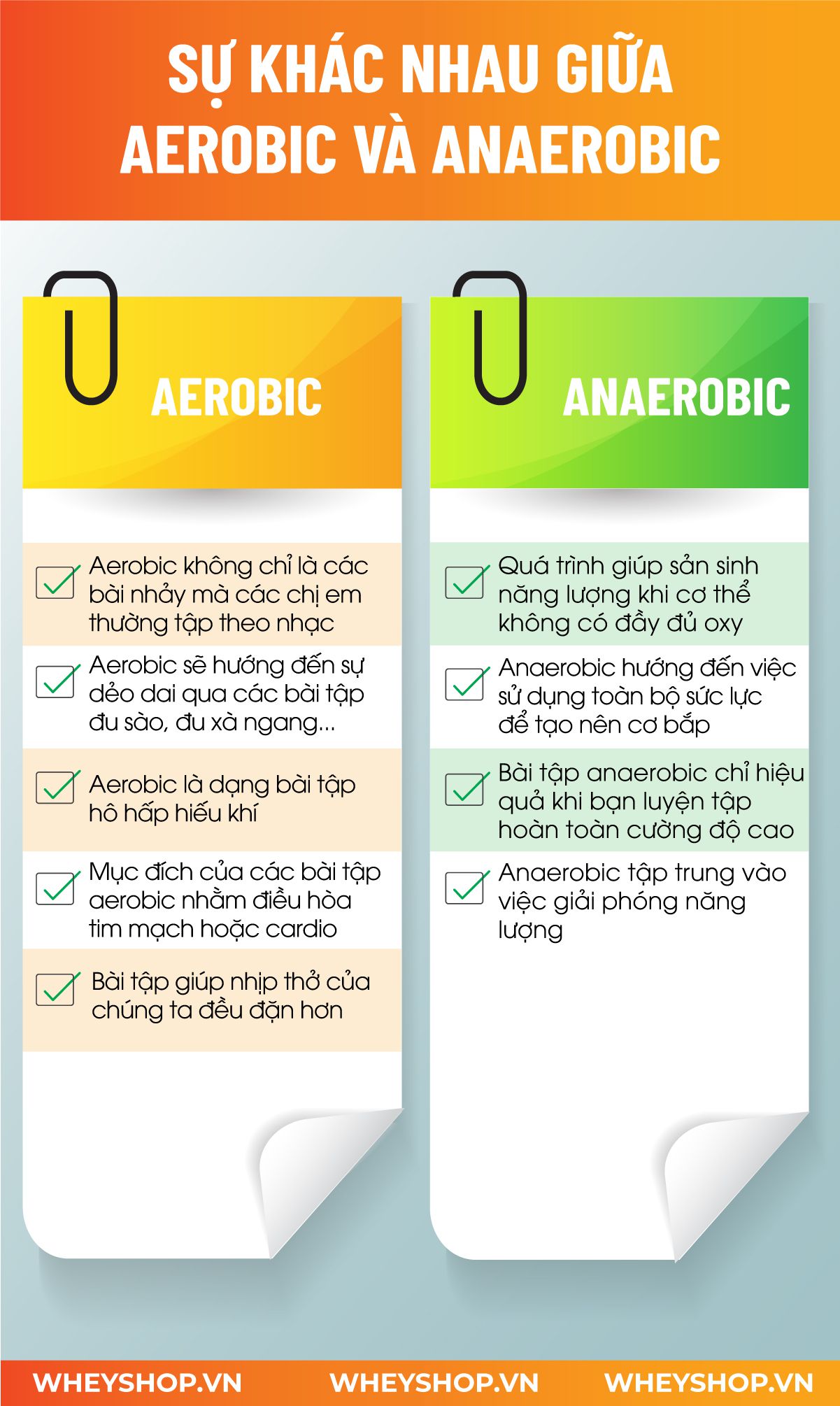 Nếu bạn đang tìm hiểu anaerobic là gì thì hãy cùng WheyShop tham khảo chi tiết về khái niệm anaerobic là gì qua bài viết...